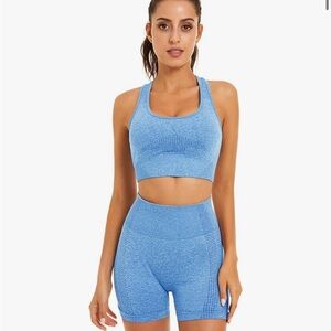 Blue Seamless Yoga Workout Set